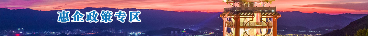 惠企政策 在线申报